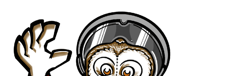 The head image of an owl wearing a helmet, putting their right hand in the air