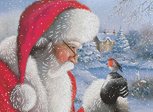 Image of Christmas scene with Santa and a robin
