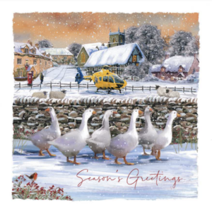 6 geese walk together in front of a dry stone wall in the snow. Behind the wall is a North West Air Ambulance in a snowy farmyard scene.