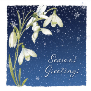 Dark night sky with snow drops in the foreground. Text reads: Season's greetings.