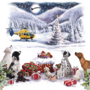 Four dogs watch Santa's sleigh fly through the sky in front of a large bright moon. Four puppy's are in the foreground sitting with a bunch of presents and Santa's sack. Just out of focus is a North West Air Ambulance helicopter.