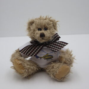 NWAA Teddy