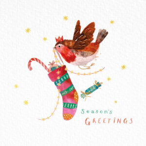 Stockin' Robin Christmas Cards (Pack of 10)