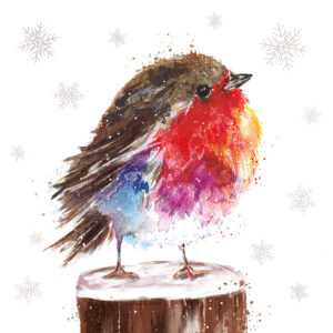 Fluffy Snow Christmas Cards (Pack of 10)