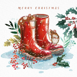 A Cosy Spot to Snooze Christmas Cards (Pack of 10)