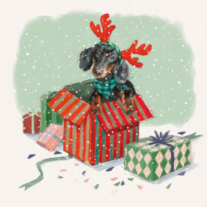 Christmas Wish Christmas Cards (Pack of 10)